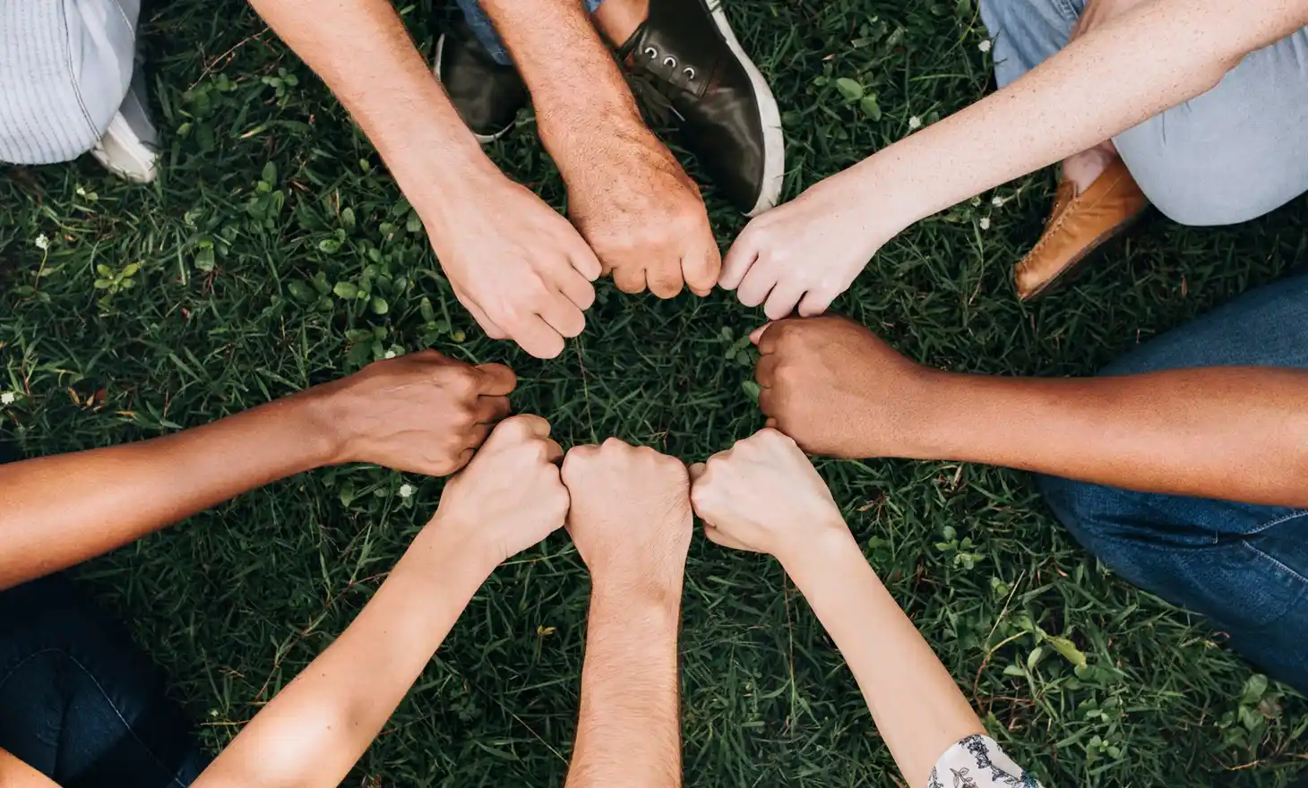 Ons Bos Bijdragen aan bosbeheer Doneren